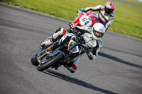 PJ-Motorsport-2019;anglesey-no-limits-trackday;anglesey-photographs;anglesey-trackday-photographs;enduro-digital-images;event-digital-images;eventdigitalimages;no-limits-trackdays;peter-wileman-photography;racing-digital-images;trac-mon;trackday-digital-images;trackday-photos;ty-croes